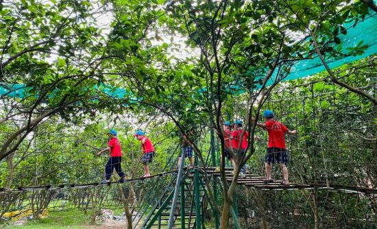 có nên cho trẻ đi tham quan dã ngoại hay không