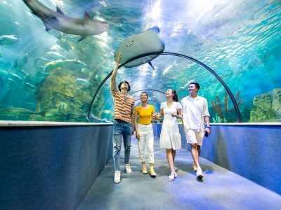 Kinh nghiệm tham quan thủy cung time city Hà Nội